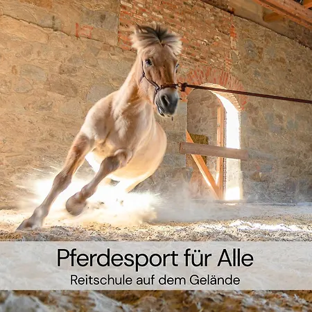 Designer-studio Unter Historischem Gewoelbe Διαμέρισμα