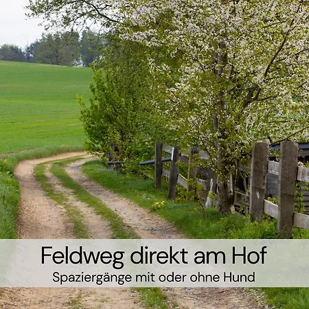 Designer-Studio Unter Historischem Gewoelbe