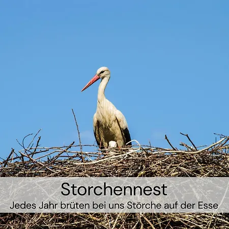 Διαμέρισμα Designer-studio Unter Historischem Gewoelbe *