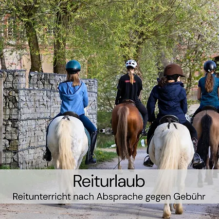 Διαμέρισμα Designer-studio Unter Historischem Gewoelbe Großharthau