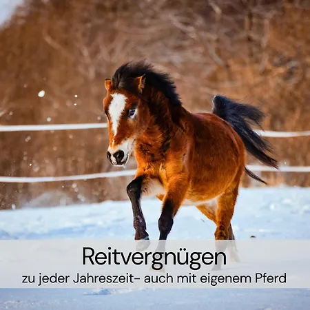 Διαμέρισμα Designer-studio Unter Historischem Gewoelbe