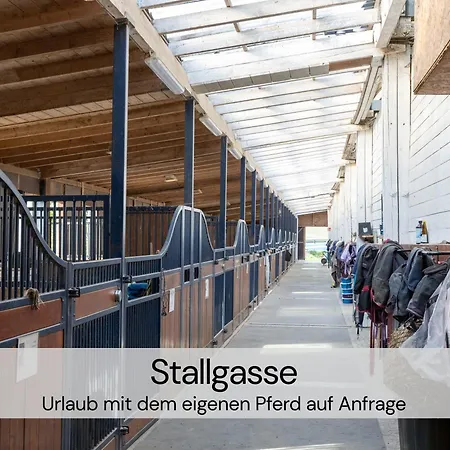 Designer-studio Unter Historischem Gewoelbe