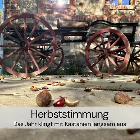 Διαμέρισμα Hexenburgbeidresden Mit Fasssauna Stylishes Designerappartement Mit Schlafsofa, Terrasse - Naehe Saechsische Schweiz Dresden Großharthau