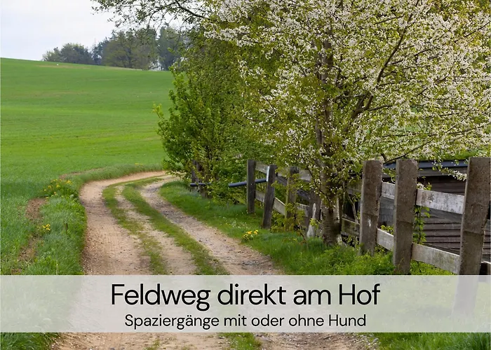 Hexenburgbeidresden Mit Fasssauna Stylishes Designerappartement Mit Schlafsofa, Terrasse - Naehe Saechsische Schweiz Dresden