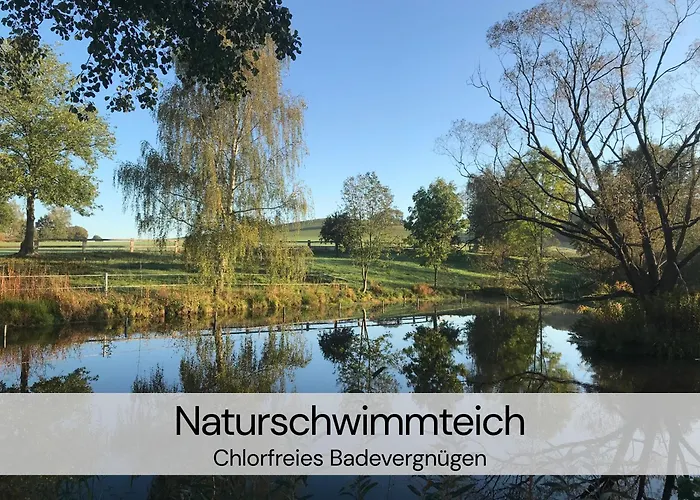 Daire Hexenburgbeidresden Mit Fasssauna Stylishes Designerappartement Mit Schlafsofa, Terrasse - Naehe Saechsische Schweiz Dresden