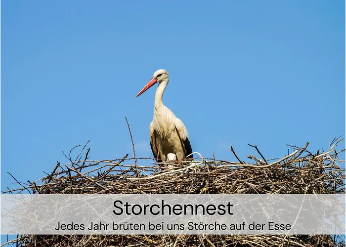 Daire Hexenburgbeidresden Mit Fasssauna Stylishes Designerappartement Mit Schlafsofa, Terrasse - Naehe Saechsische Schweiz Dresden *