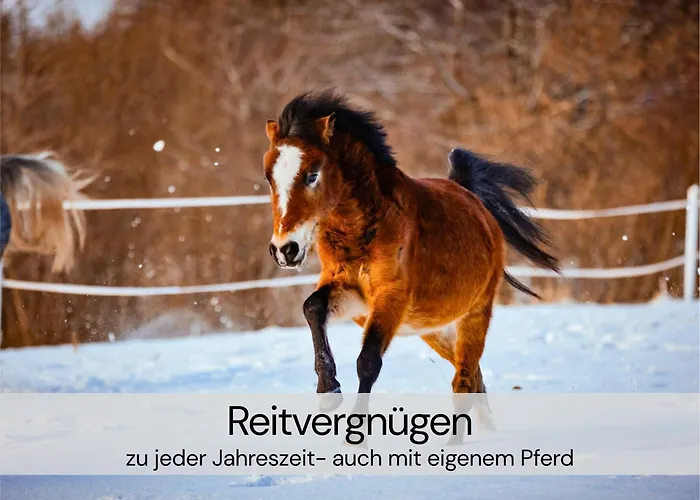 Daire Hexenburgbeidresden Mit Fasssauna Stylishes Designerappartement Mit Schlafsofa, Terrasse - Naehe Saechsische Schweiz Dresden