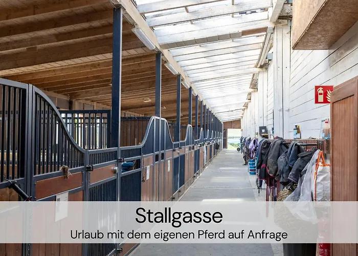 Hexenburgbeidresden Mit Fasssauna Stylishes Designerappartement Mit Schlafsofa, Terrasse - Naehe Saechsische Schweiz Dresden