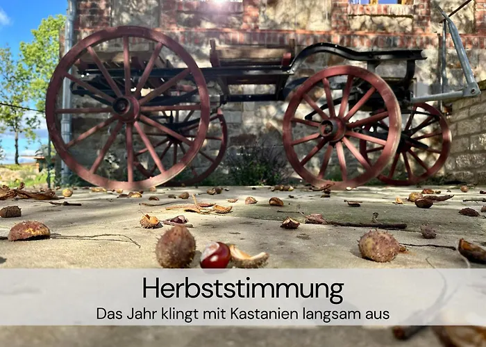 Daire Hexenburgbeidresden Mit Fasssauna Stylishes Designerappartement Mit Schlafsofa, Terrasse - Naehe Saechsische Schweiz Dresden Großharthau